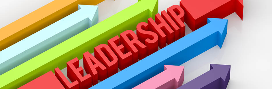 what-s-the-role-of-board-members-during-a-change-in-leadership-sobelco